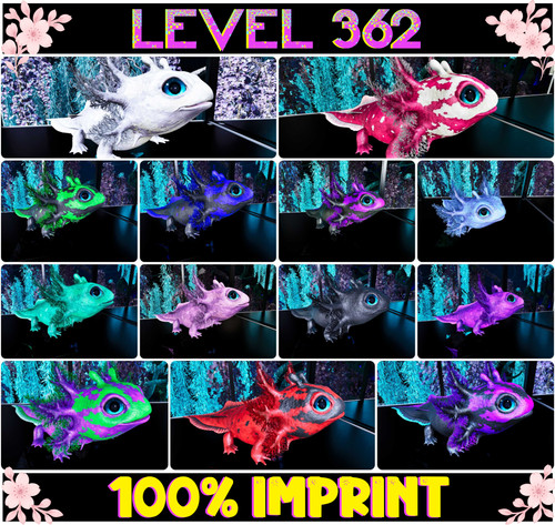 Tidepup level 362 - 362, [100%imp]